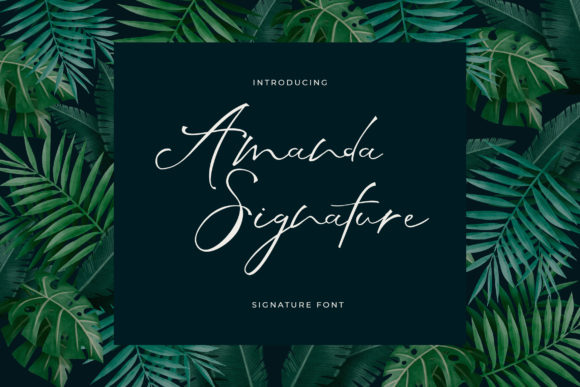Amanda Signature Font Review