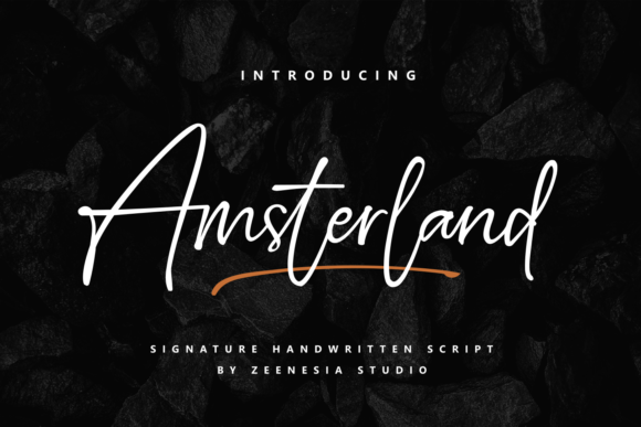 Amsterland: A Delicate Script Font