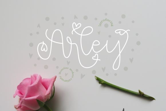 Arley Font Review