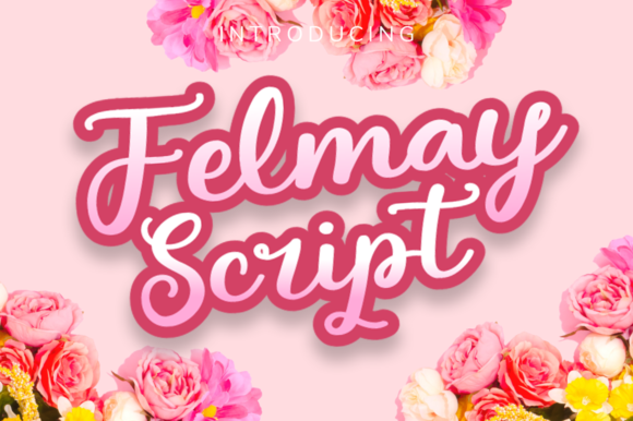Felmay: A Vintage Script Font for Web Design