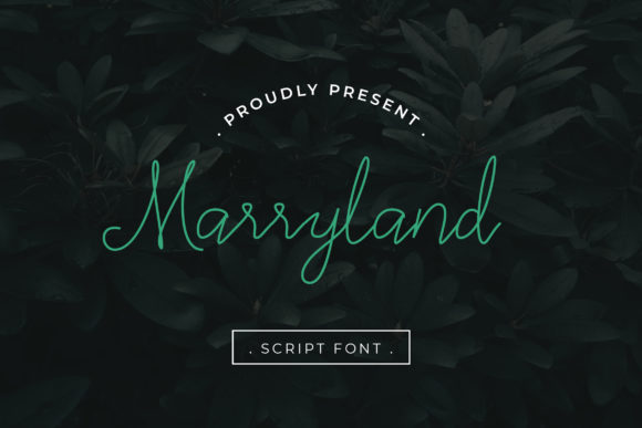 Marryland: A Modern Script Font