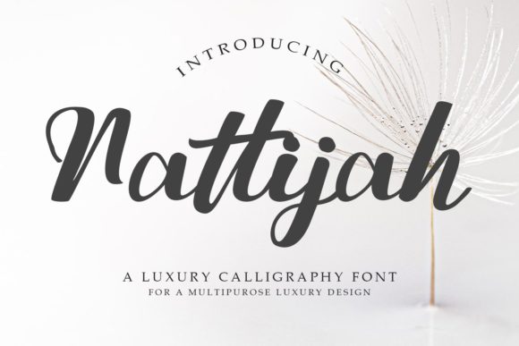Master Your Campaign with Nattijah