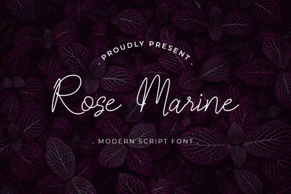 Rose Marine Font for Web Design