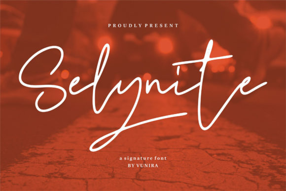 Selynite: A Stylish Font for Business Branding